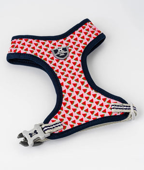 Fabric Dog Harness - Pink Watermelon