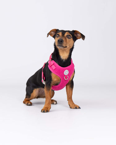 Pink Luxury Tweed Dog Harness Studio