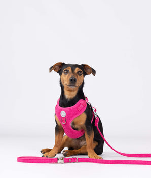 Pink Luxury Tweed Dog Lead Studio