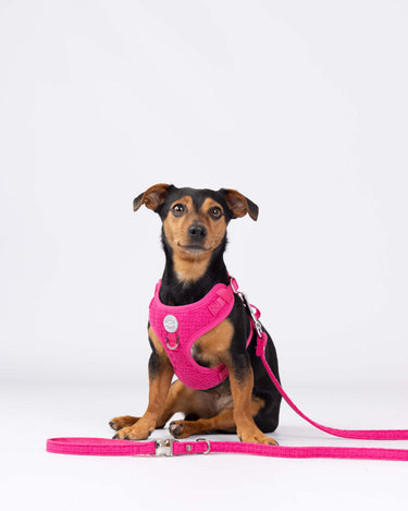 Pink Luxury Tweed Dog Lead Studio