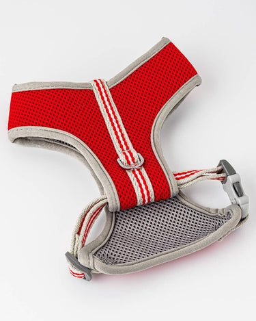 Mesh Dog Harness - Red Back Buckle