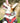 Red Star Fabric Dog Collar Lifestyle