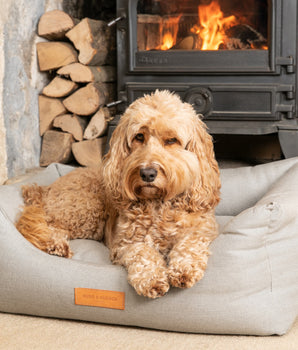 Grey Luxury Dog Bed Lifestyle