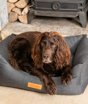 Dark Grey Luxury Dog Bed Lifestyle