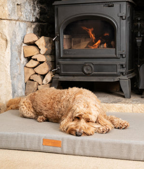 Grey Herringbone Foam Mattress Dog Bed Lifestyle