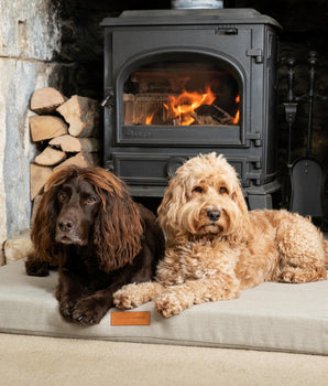 Sand Herringbone Foam Mattress Dog Bed Lifestyle