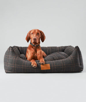 Dark Grey Checked Tweed Fabric Dog Bed Studio Shoot
