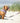Checked Navy and Red Fabric Dog Lead Lifestyle