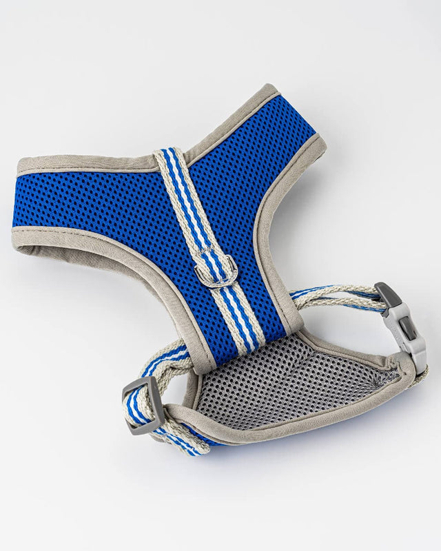 Mesh Dog Harness Royal Blue Hugo & Hudson London