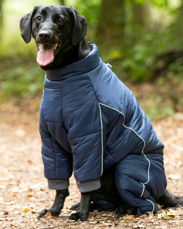 Outdoor Winter Dog Suit Navy – Hugo Hudson London