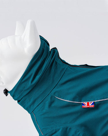 Protective Dog Overalls - Teal Collar
