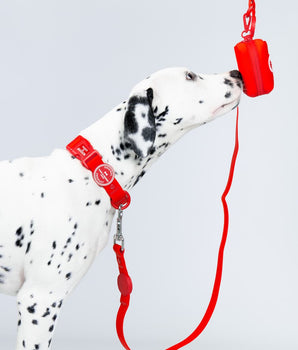 Waste Poop Bag Holder - Red Studio Shoot