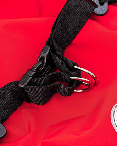 Winter Dog Snowsuit - Red Back Buckles