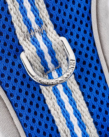 Mesh Dog Harness - Royal Blue D Ring