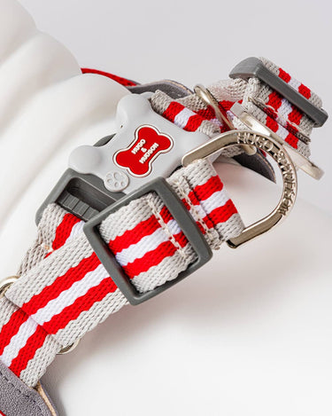 Easy Walk V Dog Harness - Red Back Buckle