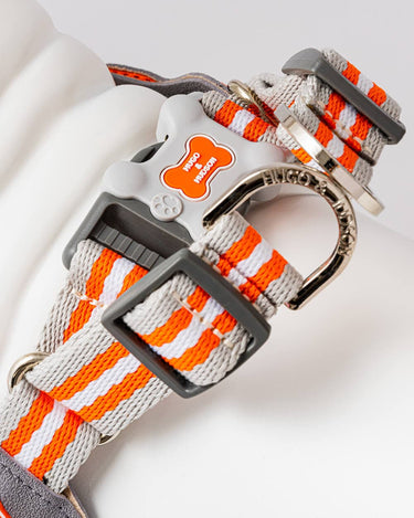 Easy Walk V Dog Harness - Orange Back Buckle