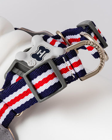 Easy Walk V Dog Harness - Navy Back Buckle