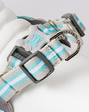 Easy Walk V Dog Harness - Aqua Back Buckle