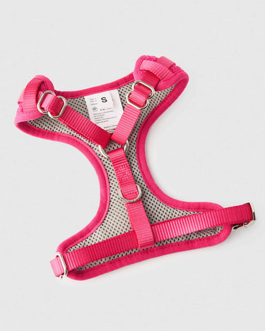 Pink Luxury Tweed Dog Harness Buckles