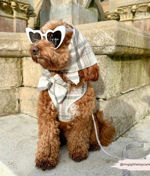 Cocopup London Oxford Plaid Lead