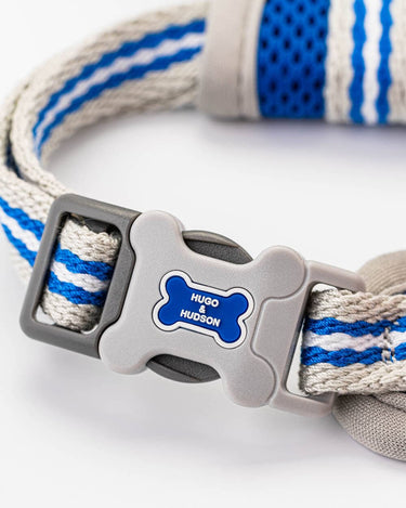 Mesh Dog Harness - Royal Blue Clip