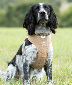 Tweed Dog Harness - Caramel Checked Herringbone Lifestyle