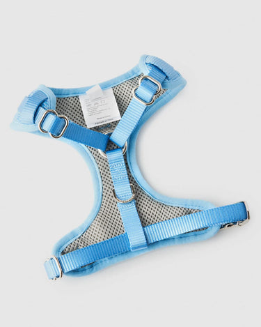 Blue Luxury Tweed Dog Harness Back Buckle