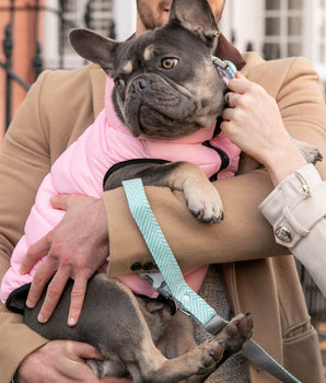Tweed Dog Lead - Aqua Herringbone Lifestyle