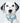 Blue Luxury Tweed Dog Collar Studio Shoot
