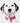 Pink Luxury Tweed Dog Collar Studio Shoot