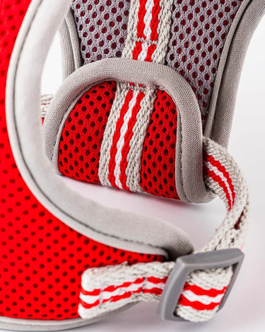 Mesh Dog Harness - Red Adjustment