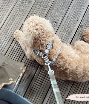 Cocopup London Olive Check Lead