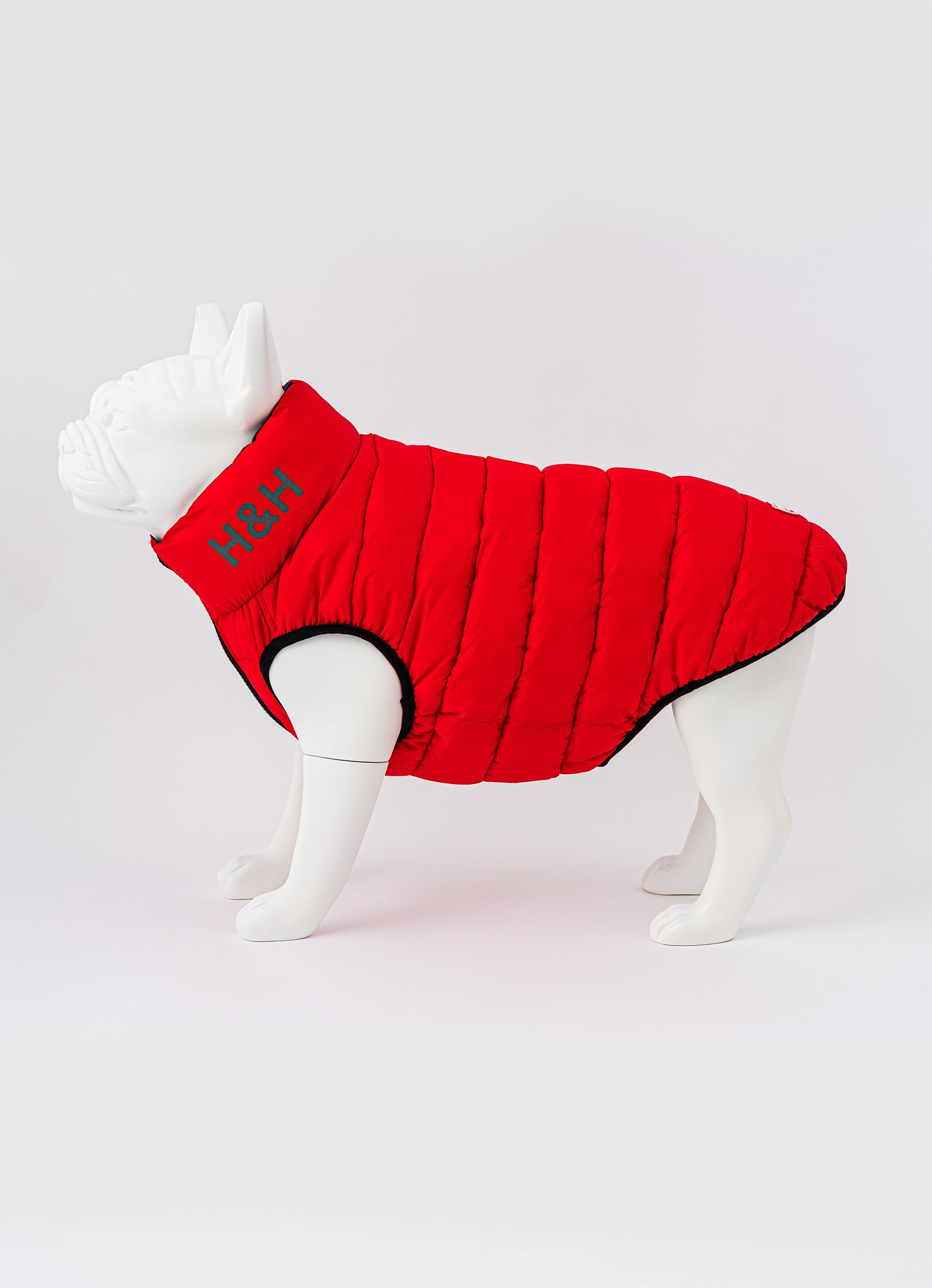 Red and Navy Dog Puffer Jacket Hugo & Hudson London