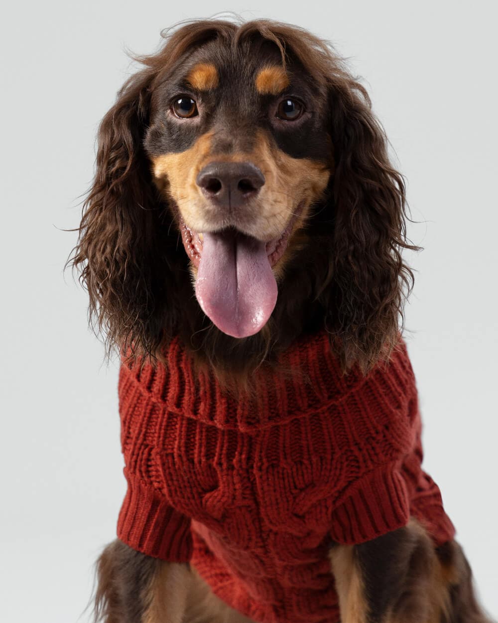 Eddie bauer two tone cable dog sweater hotsell