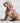 Easy Walk V Dog Harness - Red Lifestyle