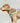 Easy Walk V Dog Harness - Green Lifestyle