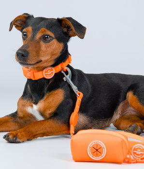 Waste Poop Bag Holder - Orange Studio Shoot