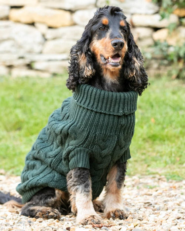Cable Knit Pullover Dog Jumper Green – Hugo Hudson London