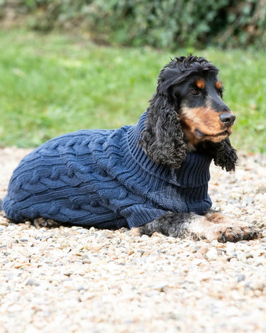 Cable Knit Pullover Dog Jumper Navy – Hugo Hudson London