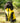 Reversible Dog Puffer Jacket - Yellow and Grey Lifestyle