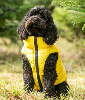 Reversible Dog Puffer Jacket - Yellow and Grey Lifestyle