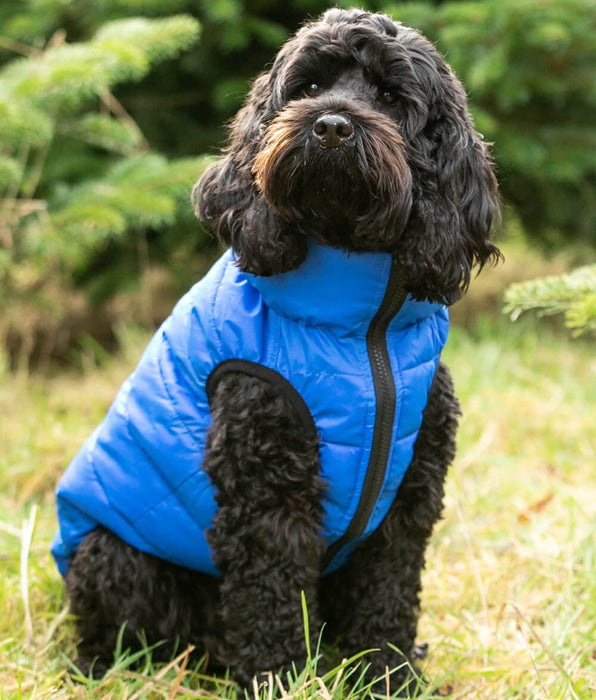Hackett – Hugo & Hudson London