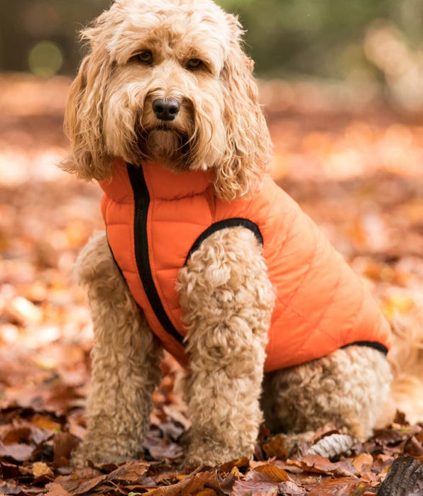 Hackett – Hugo & Hudson London