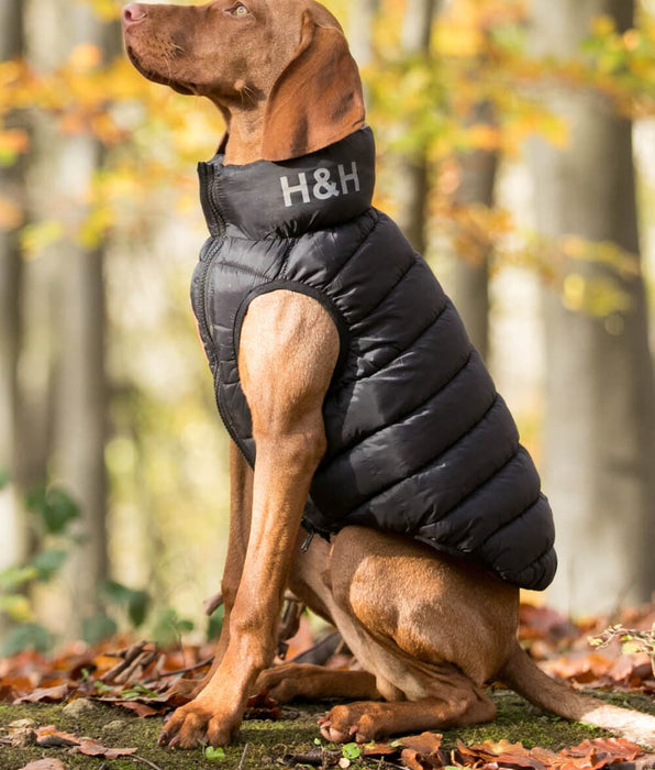 Hackett – Hugo & Hudson London