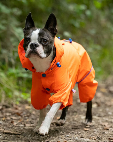 Reflective Hooded Dog Overalls - Neon Orange Lifestyle