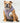 Fabric Dog Harness - Checked Navy and Red Lifestyle