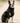 Thermal Self Heating Dog Jacket - Black Lifestyle