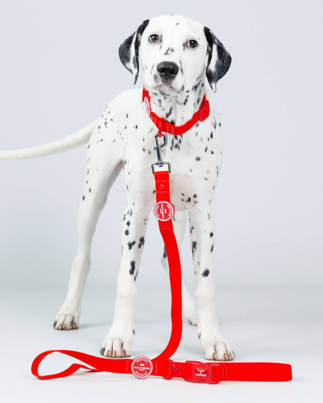 [Naturalcore] Dog Lead (Red)