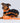 Waterproof Dog Lead - Orange Studio Shoot