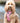 Fabric Dog Harness - Pink Watermelon Lifestyle